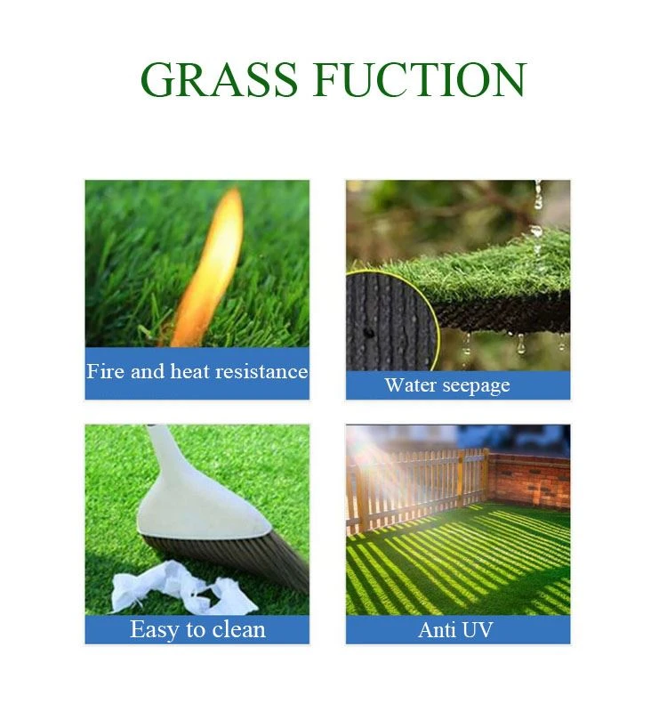 FUCTION