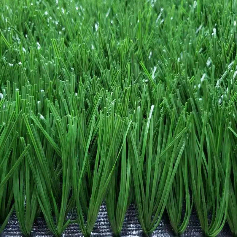 football turf grasses