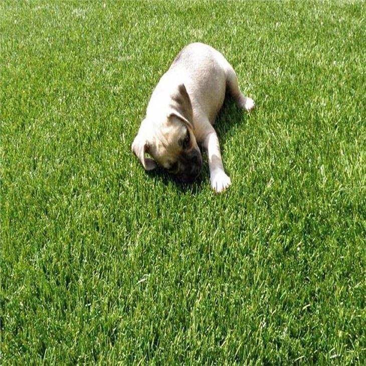Pet Friendly Turf Artificial Grass Pet Turf Rolls