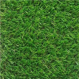 घर के बगीचे के लिए हरी घास