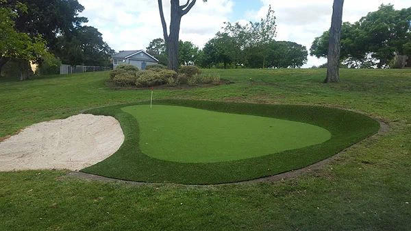 golf grass