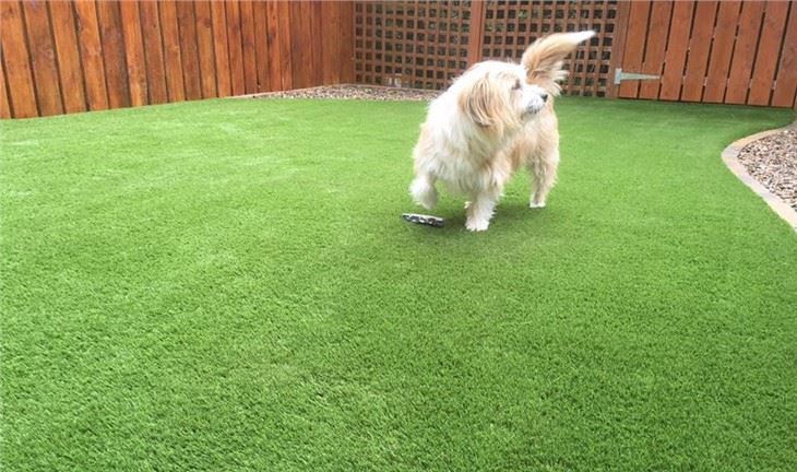 High Quality Artificial Grass