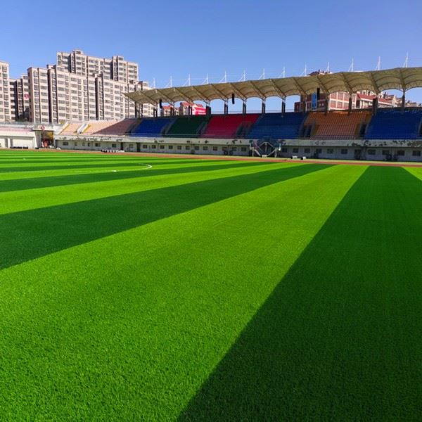 footballgrass